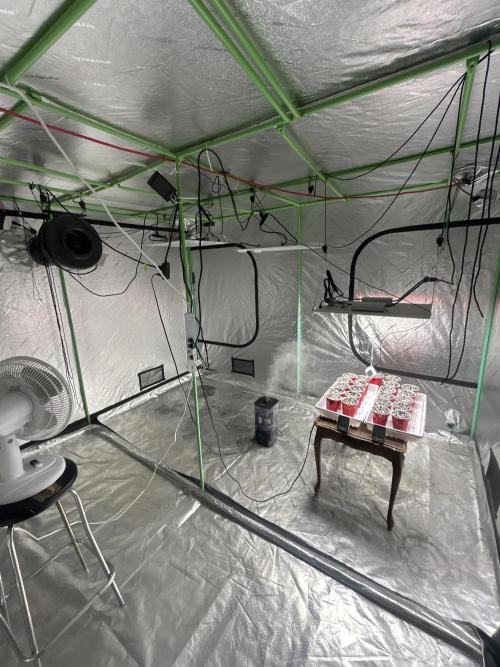 FIRST GROW 2026. Week 0 - My 10x10x7 vivosun tent is almost fully automated now Run everything from my 📱