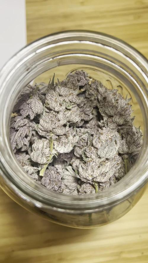 Super Buff Cherry #26 - no-till