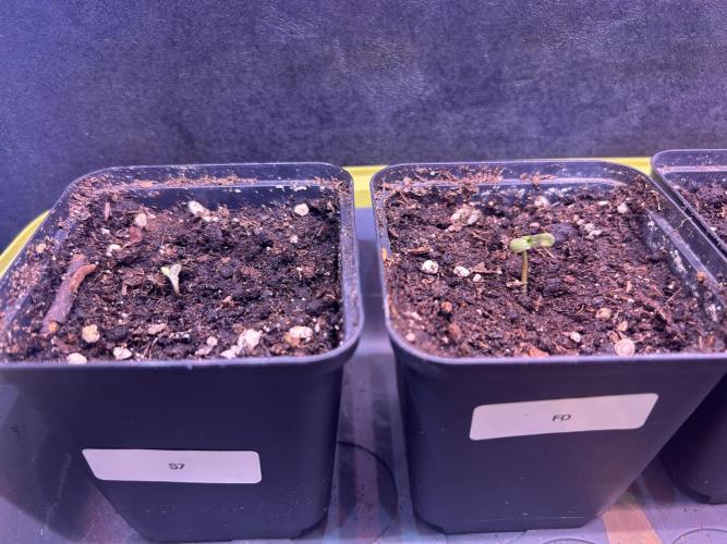 Outdoor 2026. Week 0