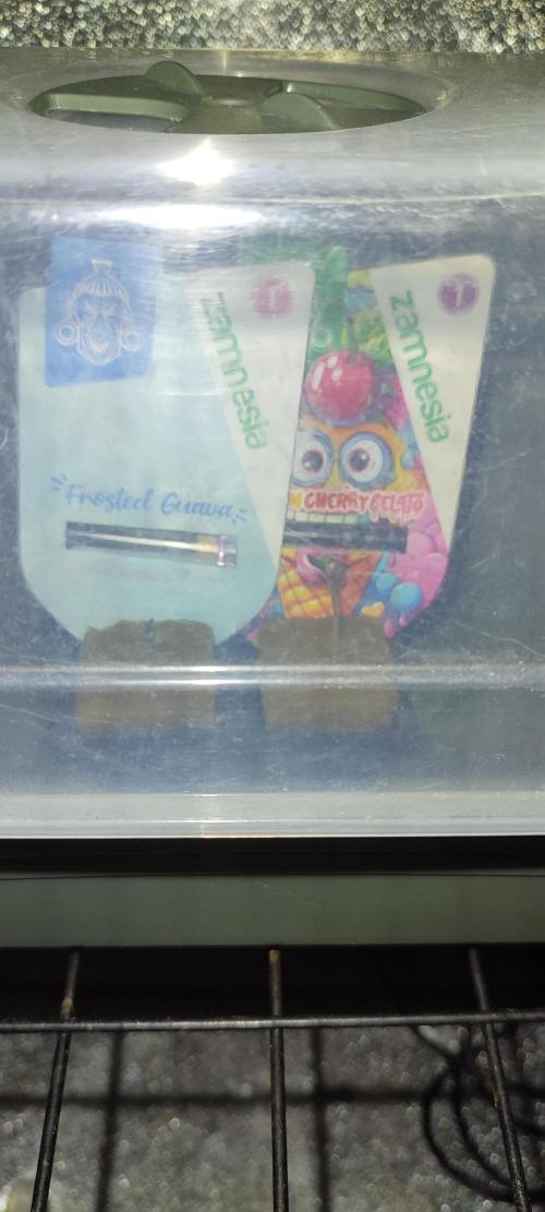 Frosted guava vs Lemon Cherry Gelato. Week 0