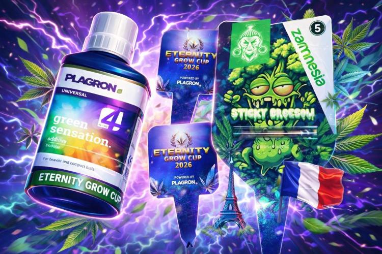 French Eternity Grow Cup 2026. Week 0