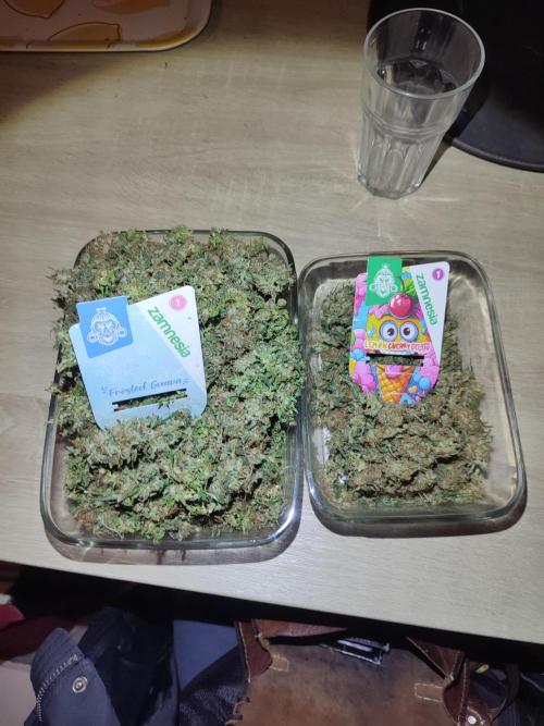 Frosted guava vs Lemon Cherry Gelato. Week 14