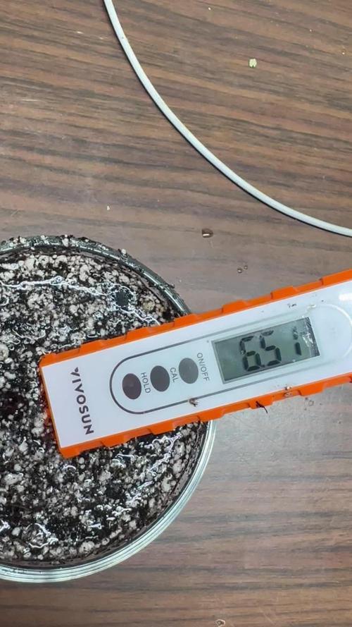 Multi strain fast buds