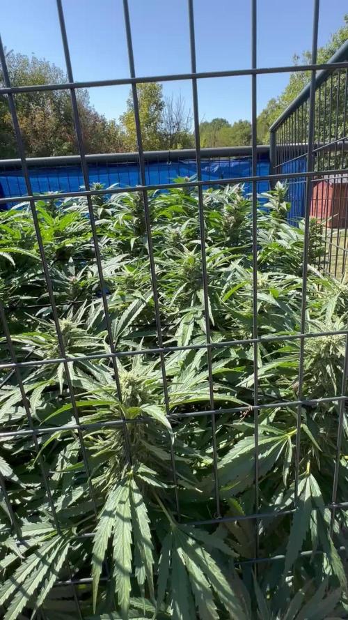 Mystery photos round #2