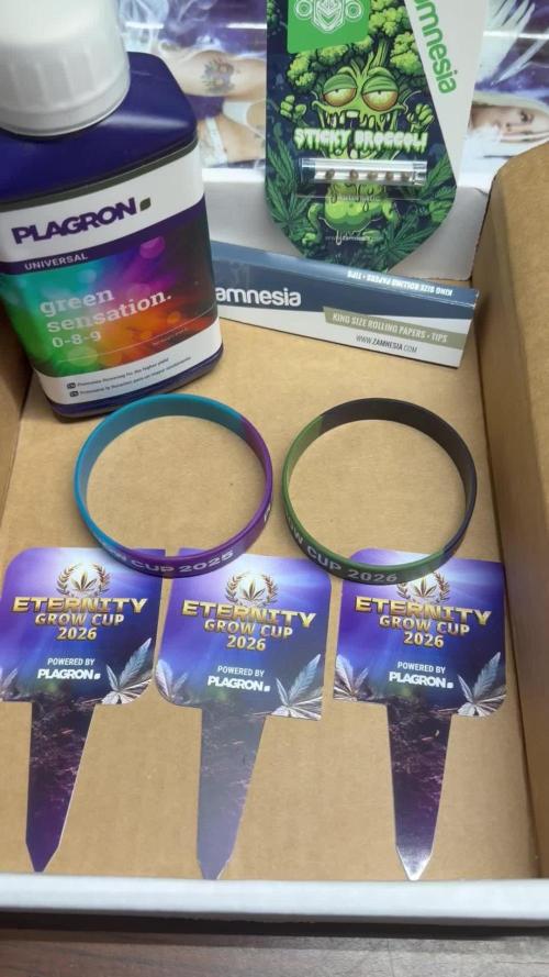 Zamnesia Grow Cup 2026