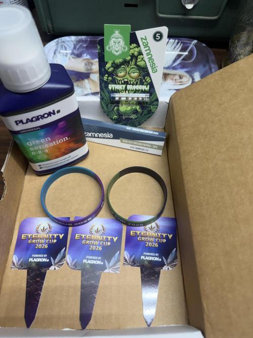 Zamnesia Grow Cup 2026. Week 0