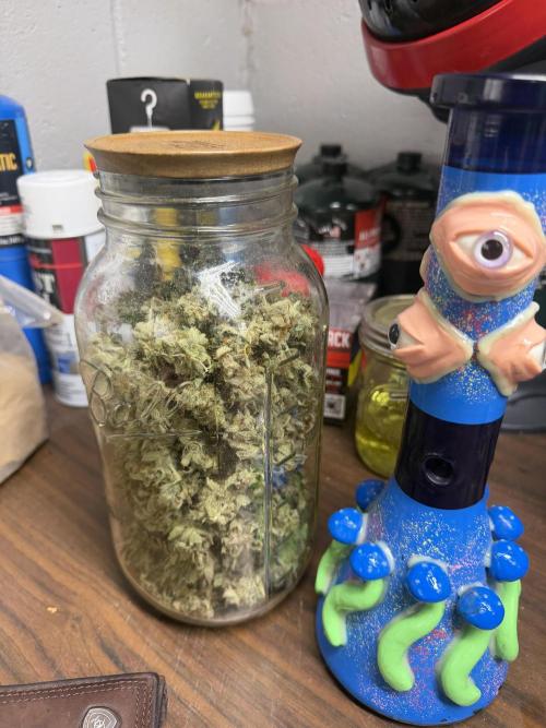 Zamnesia Grow Cup 2026. Week 14