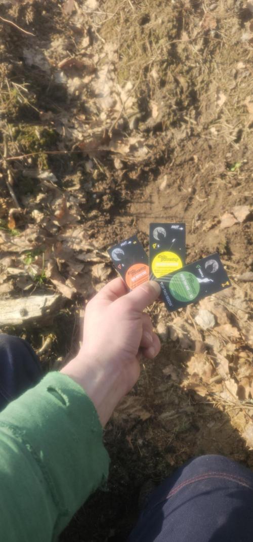 2026 Guerrilla Grow Minimal Effort. Week 0 - Day 0. Top Tao mix seed pit