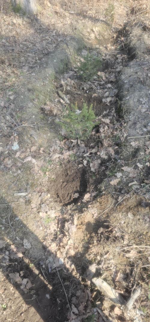 2026 Guerrilla Grow Minimal Effort. Week 0 - Day 0. More spots
