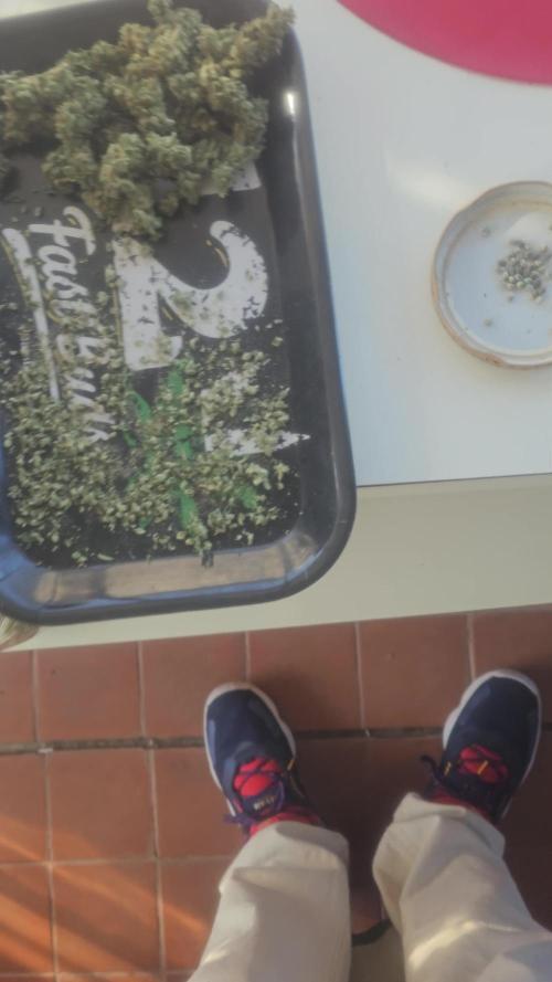 2026 Guerrilla Grow Minimal Effort