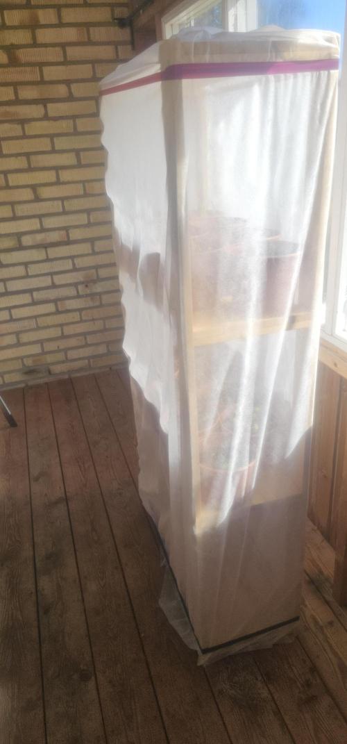 2026 Guerrilla Grow Minimal Effort. Week 1 - April 12 diy tent