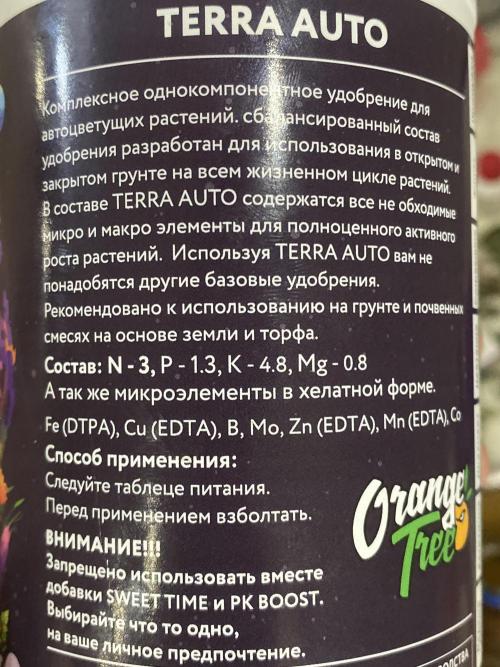 DIVINE OG KUSH. Week 10