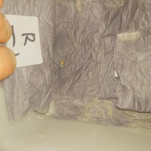 Zamnesia 🙏. Week 0