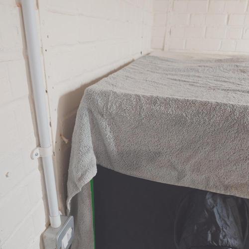 Zamnesia 🙏. Week 3