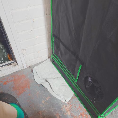 Zamnesia 🙏. Week 3