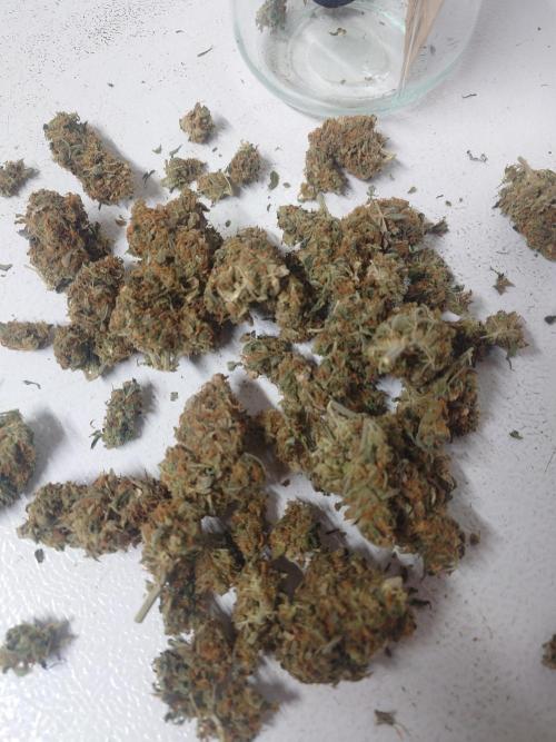 Sticky fruits. Week 15