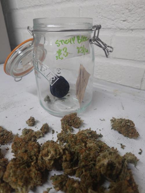 Sticky fruits. Week 15