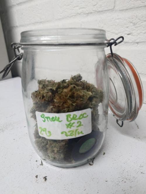 Sticky fruits. Week 15