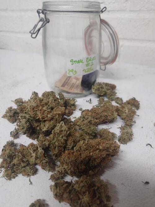 Sticky fruits. Week 15
