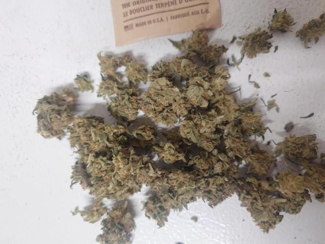 Sticky fruits. Week 15