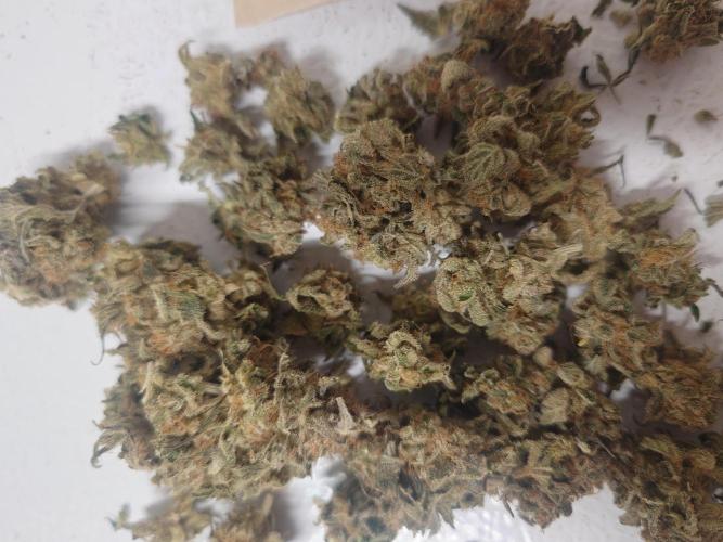 Sticky fruits. Week 15