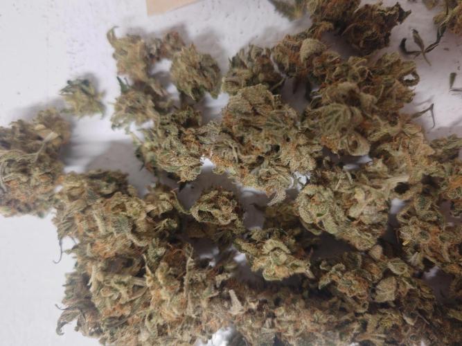 Sticky fruits. Week 15