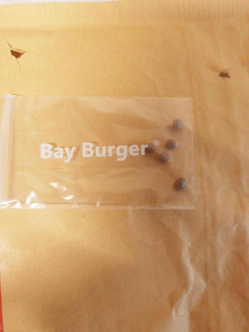 Bay burger king. Week 0