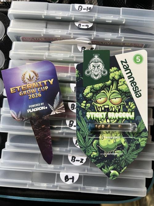 Sticky broccoli timelaps @ harvest. Week 0