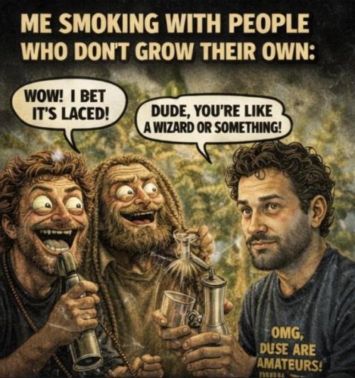 Meme contest lols. Week 1