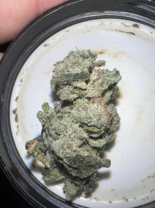 Mandarin cookies R3 Timelaps @ harvest. Week 17 - Day 52 broken branch nug 