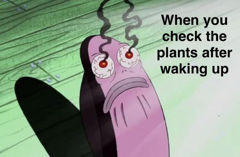 Meme by MrBulldops