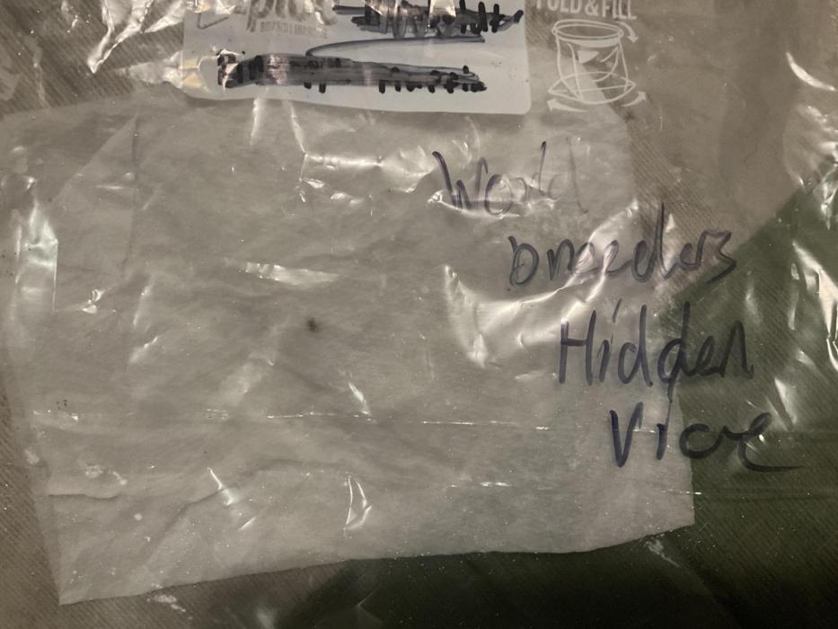 World breeders Hidden Vice. Week 0