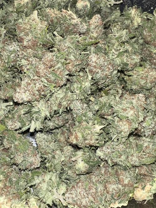 Zamnesia Seeds - Sticky Broccoli  by MrBulldops