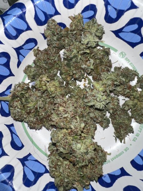 Hyperion F1 Auto. Week 12