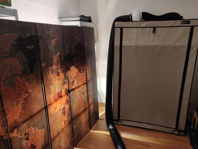 Lemon Orange & Blue Dream. Week 1