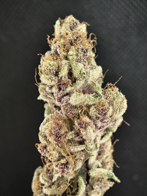 Tropicanna Banana & Runtz Muffin Aero. Week 16