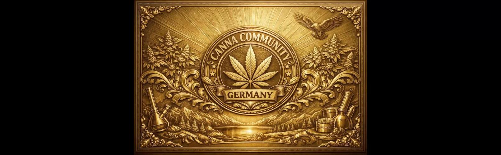 Black Orchid Auto (CCG - Sensible Seeds)