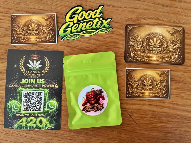 Super Boof Cherry FF - Good Genetix. Week 0