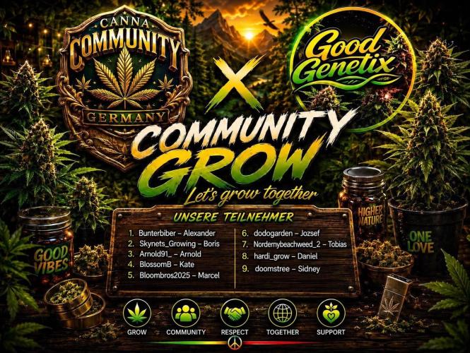Super Boof Cherry FF - Good Genetix. Week 0