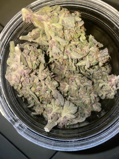 Super Lemon Haze x Pink Candy. Week 14