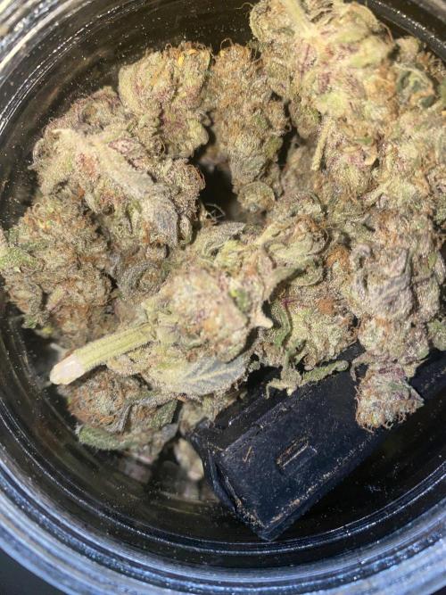 Super Lemon Haze x Pink Candy. Week 14