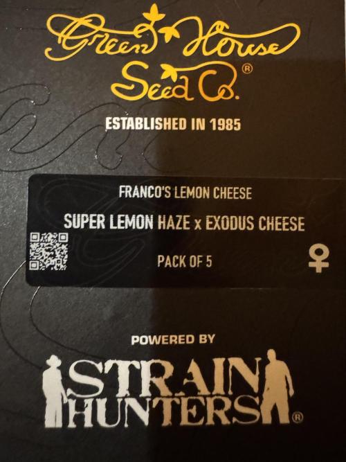 Franco's Lemon Cheese. Week 0