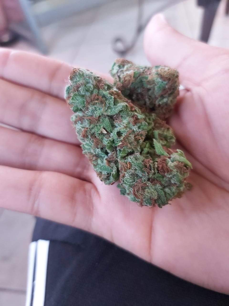 Anesia Seeds Blackberry Moonrocks® grow diary (journal) harvest11 by