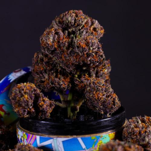 Wedding Cake. Week 11