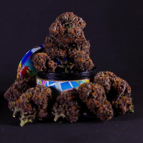 Wedding Cake. Week 11