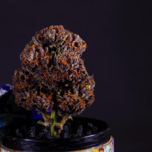 Wedding Cake. Week 11