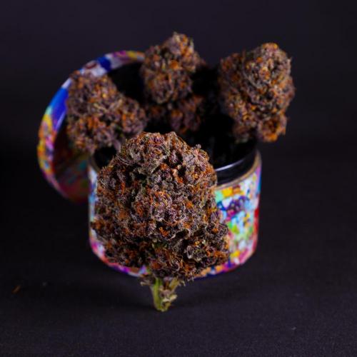 Wedding Cake. Week 11