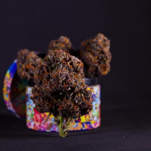 Wedding Cake. Week 11