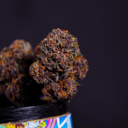 Wedding Cake. Week 11