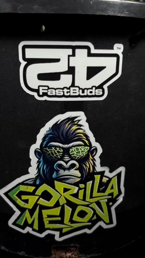 Gorilla Melon
